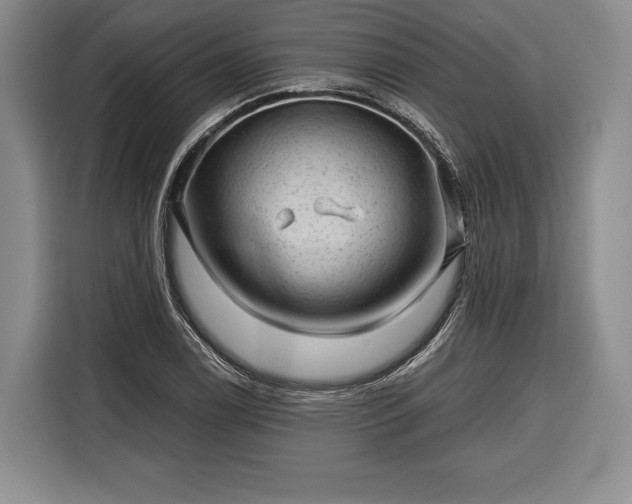 X0000116341122200912091104