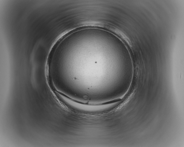 X0000116341125200912091104