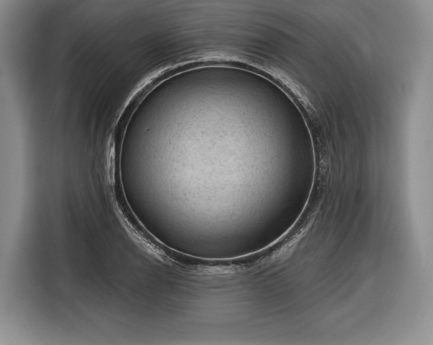 X0000116341126200912091104