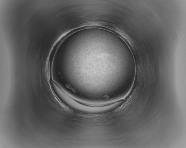 X0000116341127200912091104