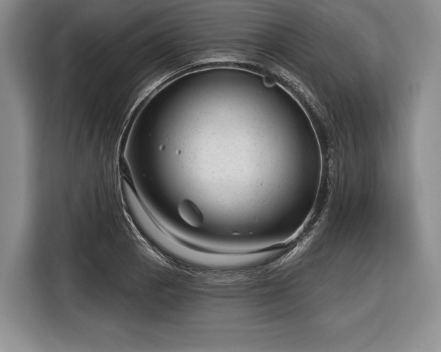 X0000116341129200912091104