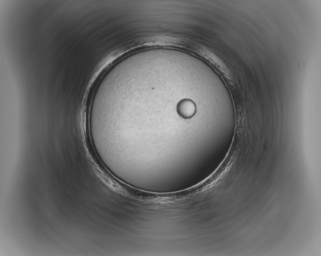 X0000116341130200912091104