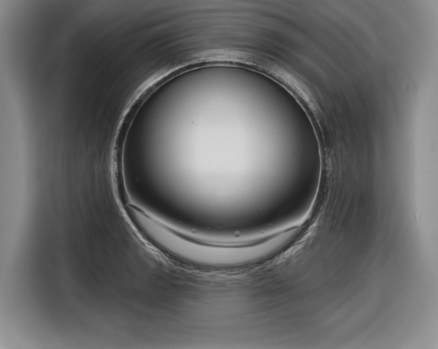 X0000116341133200912091104