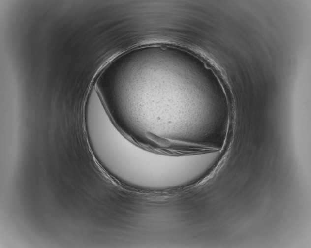 X0000116341137200912091104