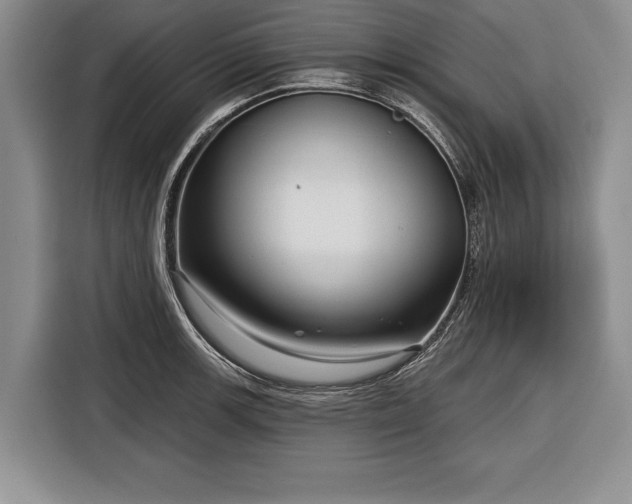 X0000116341139200912091104