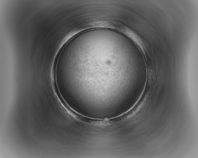 X0000116341141200912091104