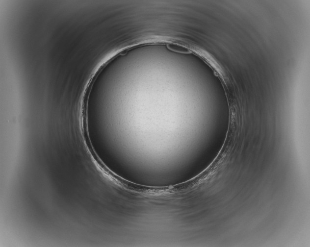 X0000116341143200912091104