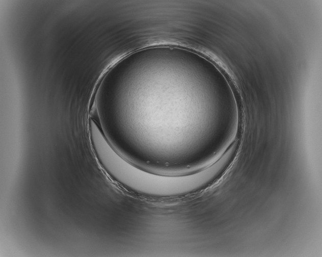 X0000116341145200912091104