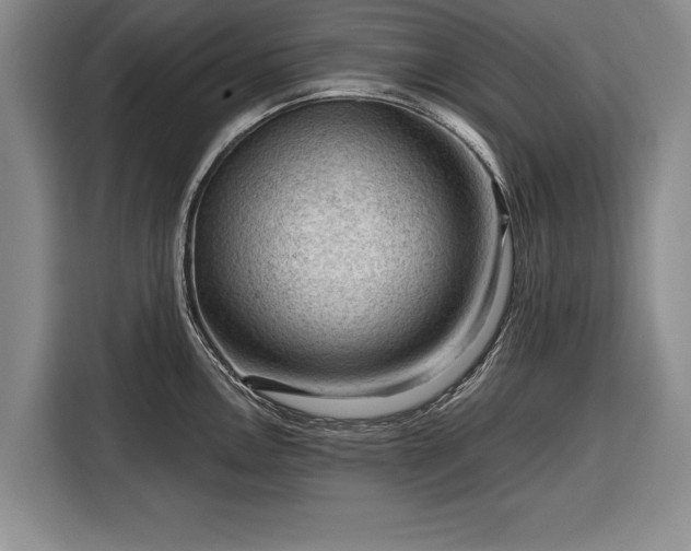 X0000116341146200912091104