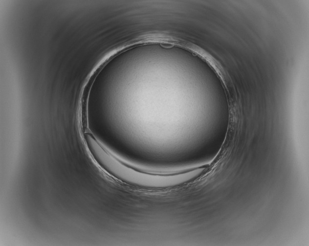 X0000116341147200912091104