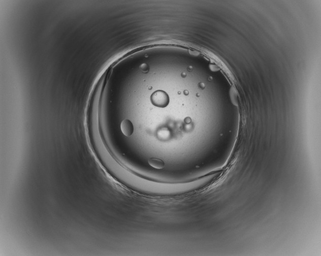 X0000116341149200912091104