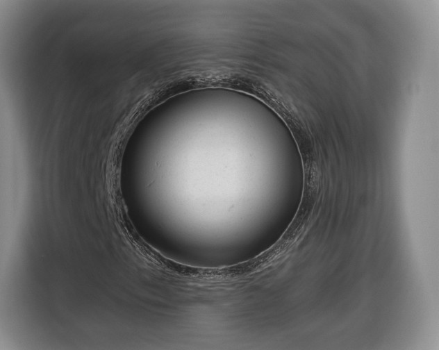 X0000116341153200912091104