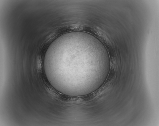 X0000116341154200912091104