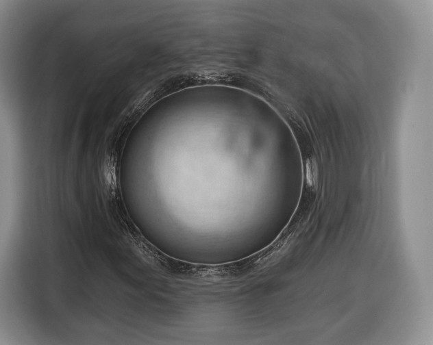 X0000116341155200912091104