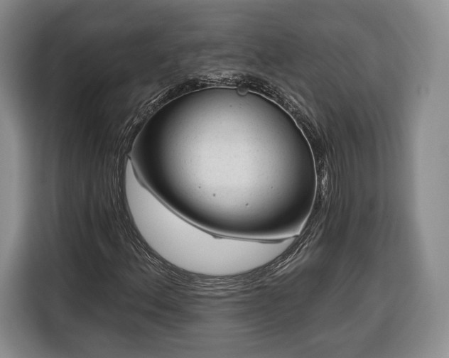 X0000116341156200912091104