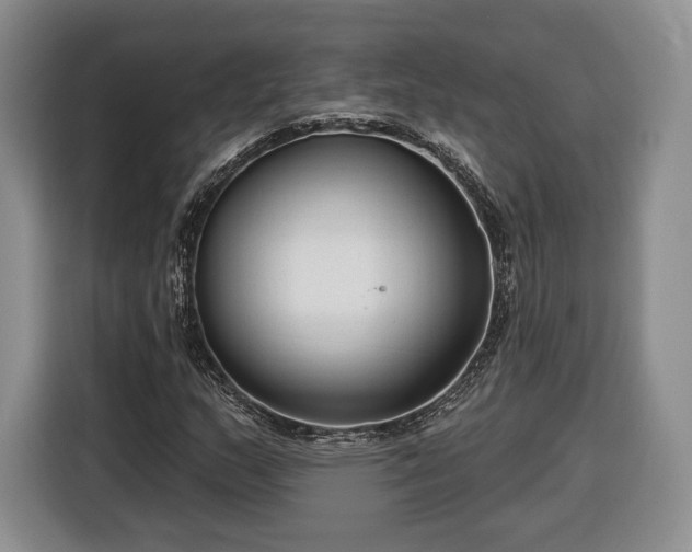 X0000116341159200912091104