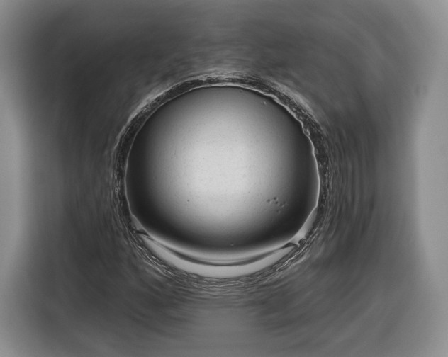 X0000116341160200912091104