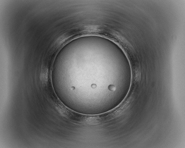 X0000116341161200912091104