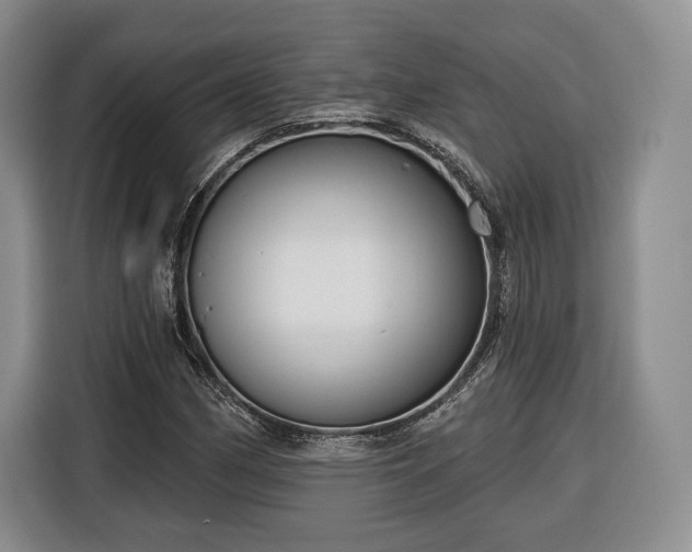 X0000116341162200912091104