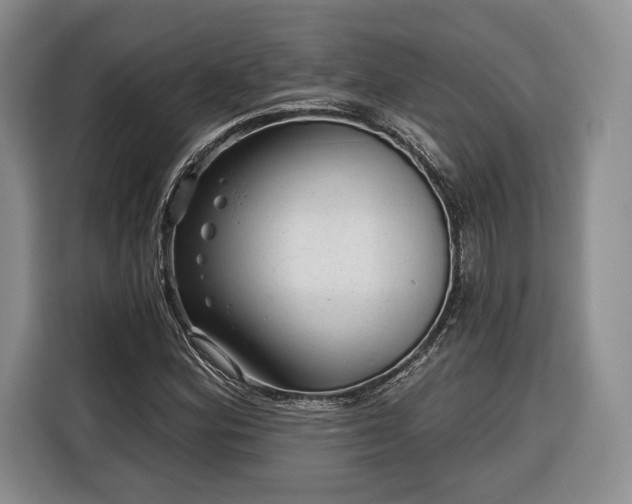 X0000116341164200912091104