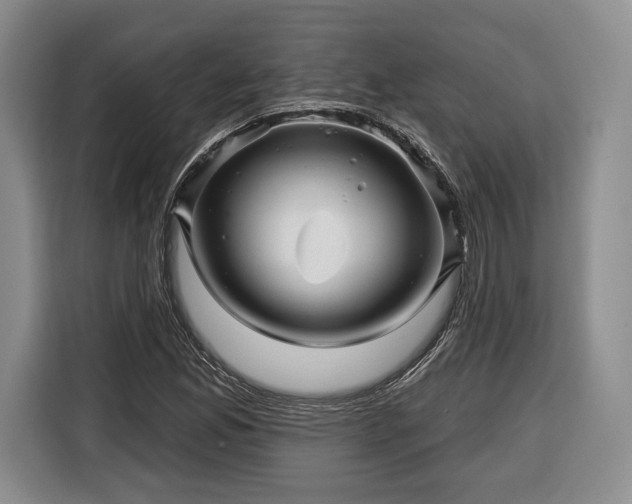 X0000116341165200912091104