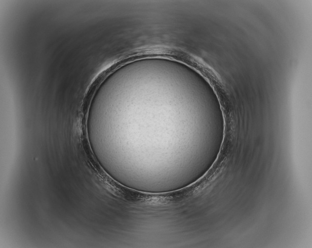 X0000116341166200912091104