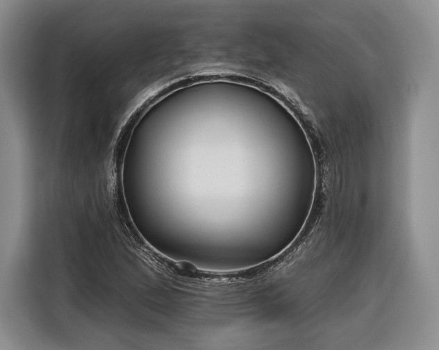 X0000116341167200912091104