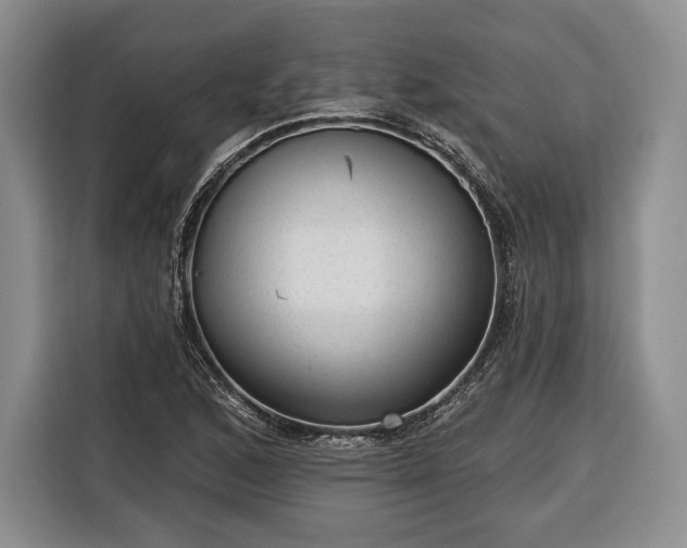 X0000116341168200912091104