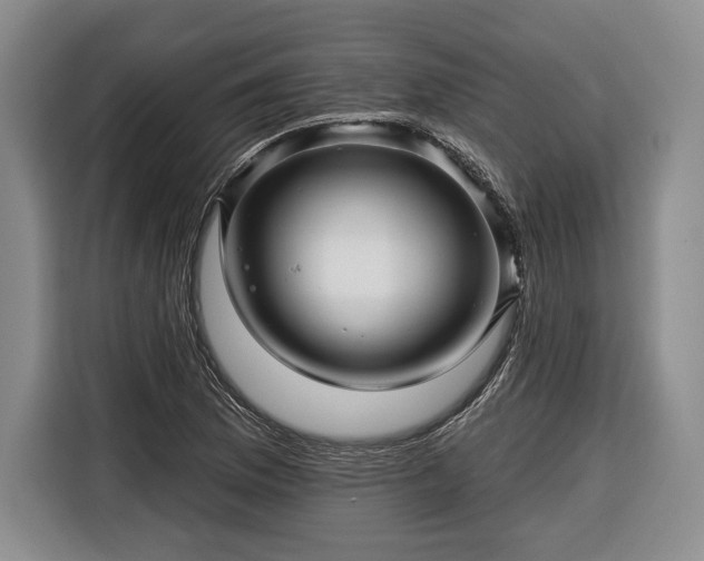 X0000116341169200912091104