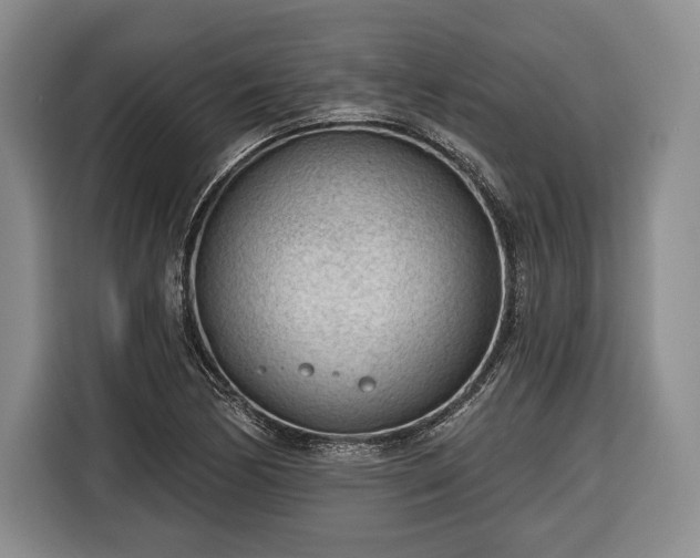 X0000116341170200912091104