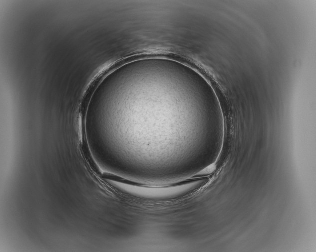 X0000116341171200912091104