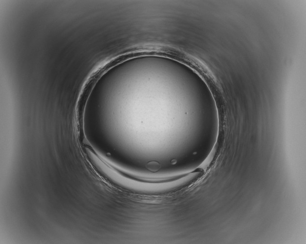 X0000116341172200912091104