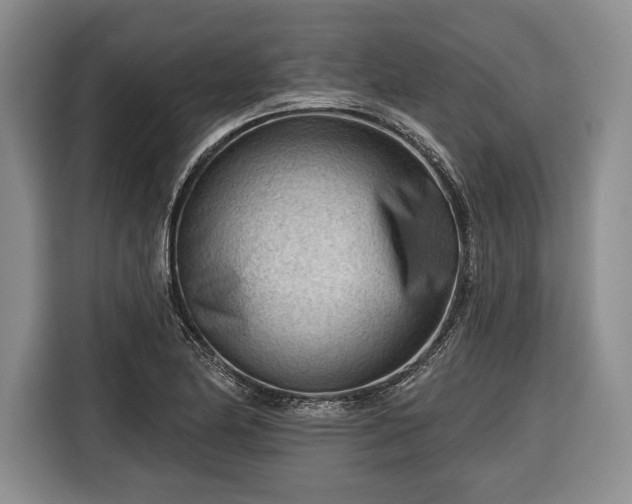 X0000116341174200912091104