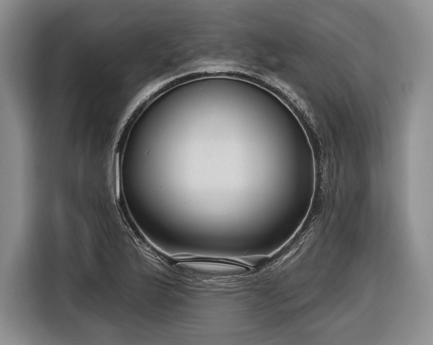 X0000116341175200912091104