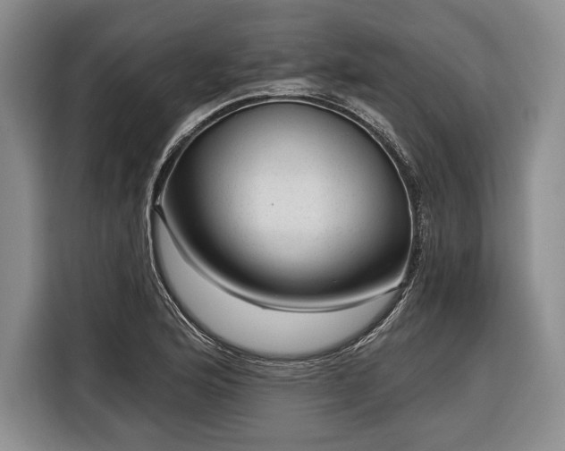 X0000116341176200912091104