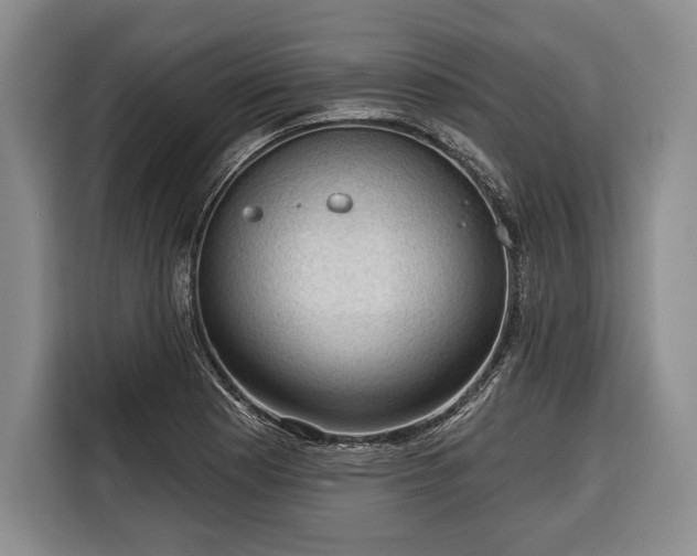 X0000116341177200912091103