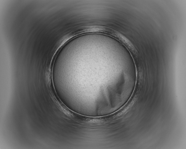 X0000116341178200912091103