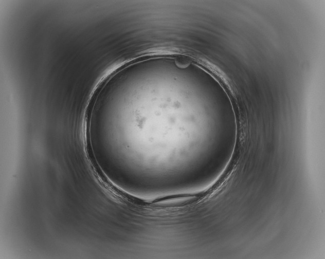 X0000116341179200912091103