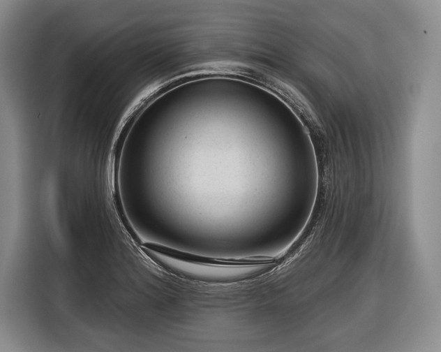 X0000116341180200912091103