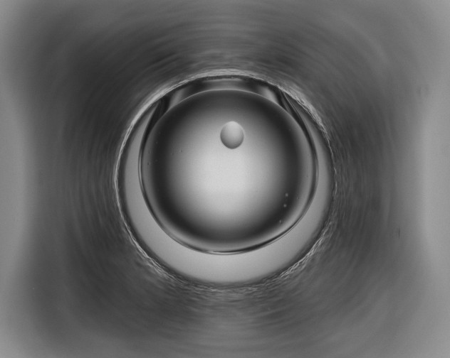 X0000116341181200912091103