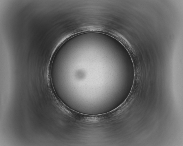 X0000116341182200912091103