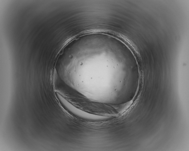 X0000116341185200912091103