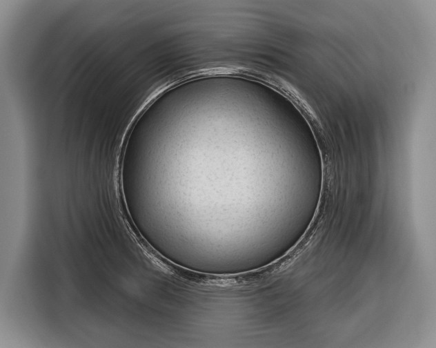 X0000116341186200912091103