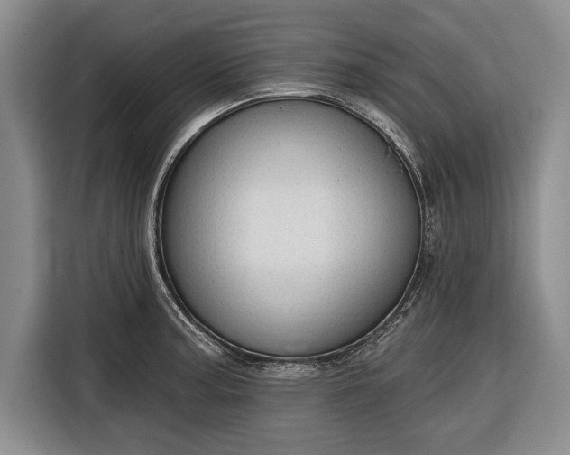 X0000116341187200912091103