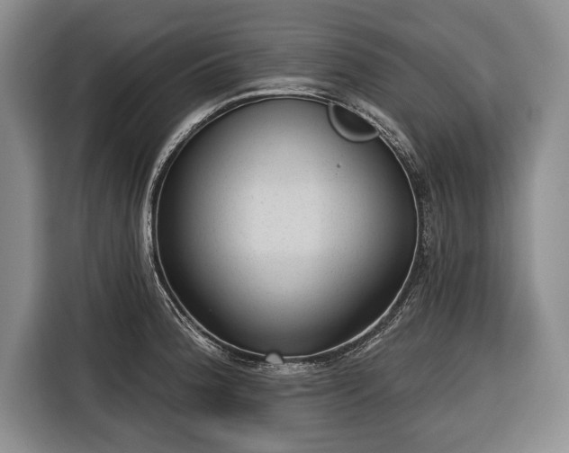 X0000116341188200912091103