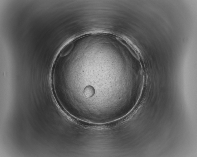 X0000116341189200912091103