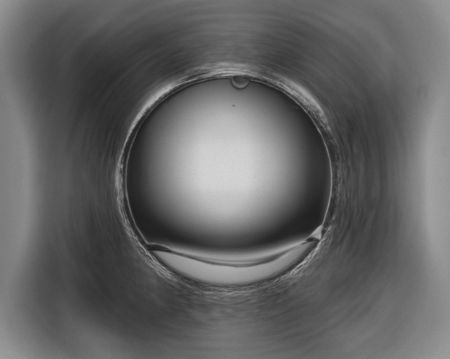 X0000116341190200912091103