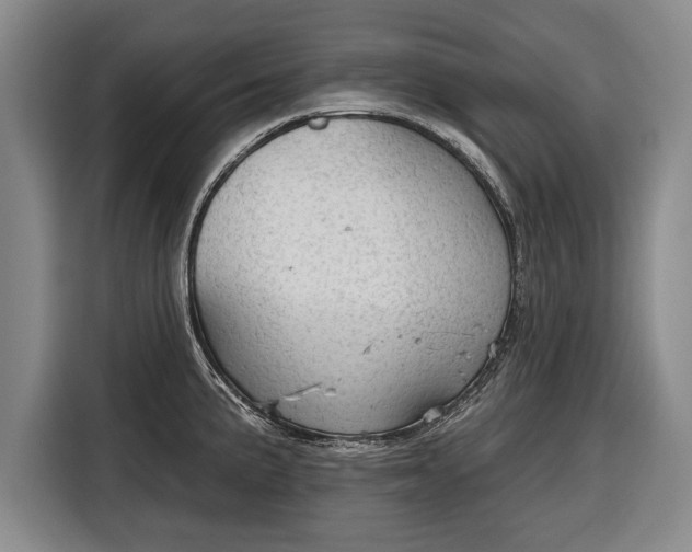 X0000116341191200912091103