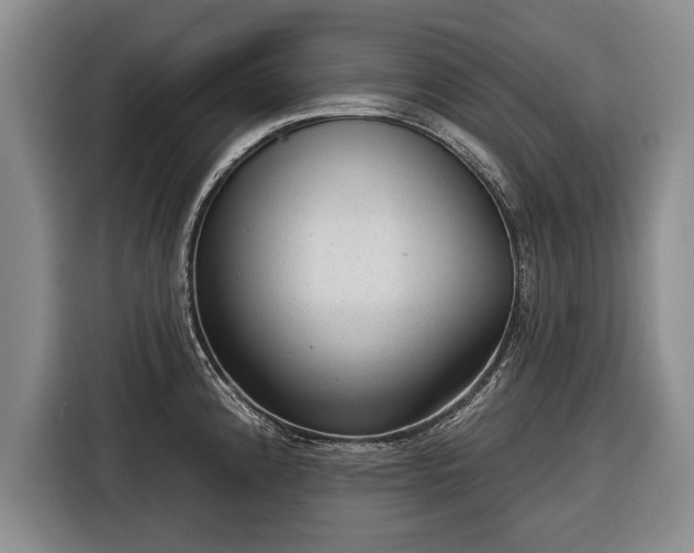 X0000116341192200912091103