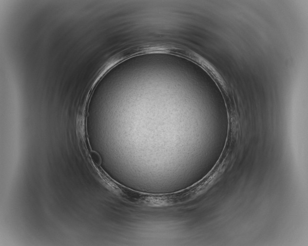 X0000116341194200912091103